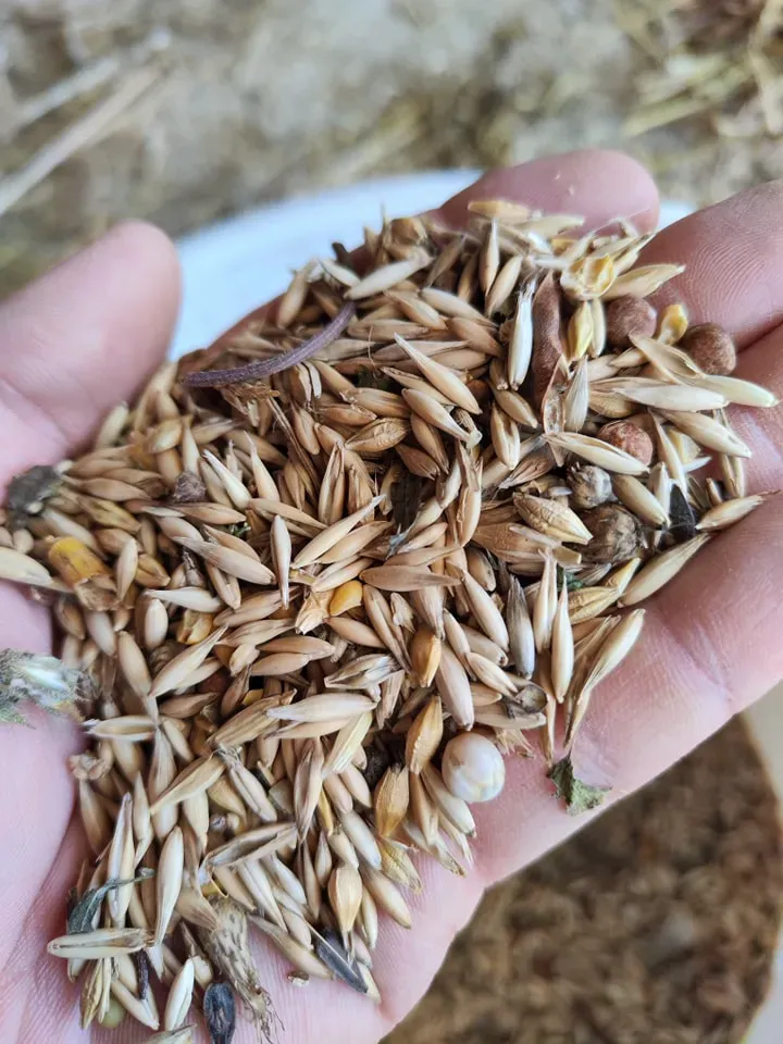 cereales produites a la ferme (2)